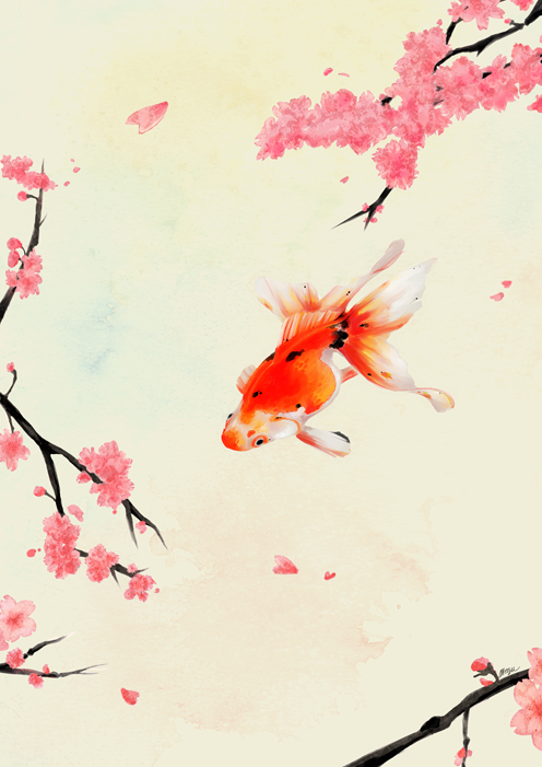 no humans fish cherry blossoms branch animal focus goldfish petals  illustration images