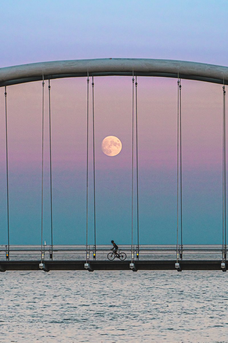 TheReal4kOj's tweet photo. Pastel Skies and a Moonrise 😍😍
#goldenhour #moonrise #photooftheday #Toronto https://t.co/NDLmu6DD1p