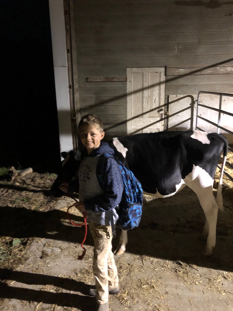 Was an early start but chase was still very excited for his first 4h show