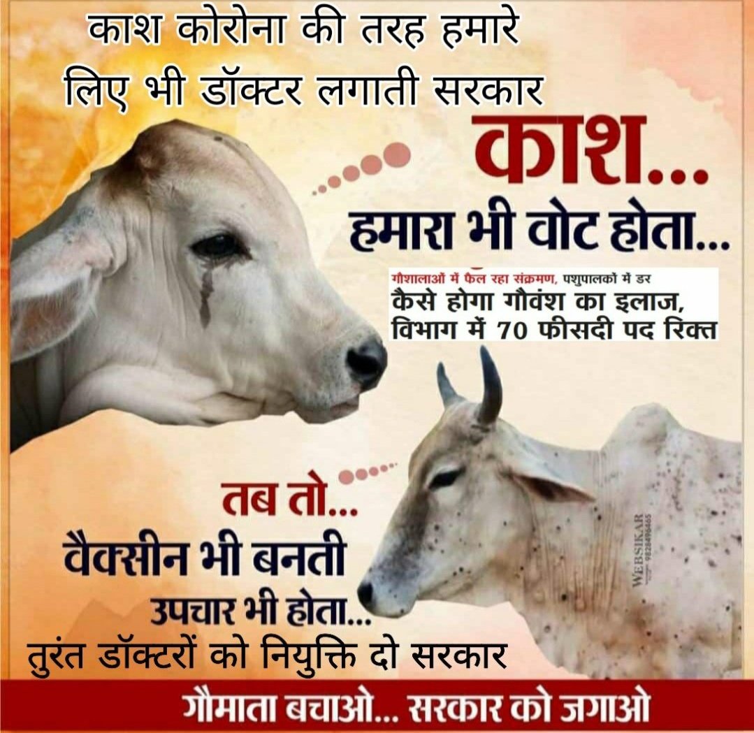 #सरकार_गायों_को_संभालो
#पशुचिकित्साअधिकारीभर्ती2019
#गौमाता_को_लम्पी_से_बचाओ
#declarelumpyepidemic 
#गाय_बचाओ_गांव_बचाओ
डॉक्टरों के70% रिक्त पदों पर, तुरंत नियुक्ति दो सरकार <a href="/KatariaLalchand/">Lalchand Kataria</a> <a href="/ashokgehlot51/">Ashok Gehlot</a> <a href="/_lokeshsharma/">Lokesh Sharma</a> <a href="/TheUpenYadav/">Upen Yadav (मोदी का परिवार)</a> <a href="/AAPRajasthan/">AAP Rajasthan</a> <a href="/BJP4Rajasthan/">BJP Rajasthan</a> <a href="/JournoVijender/">Vijender Solanki 🇮🇳</a>