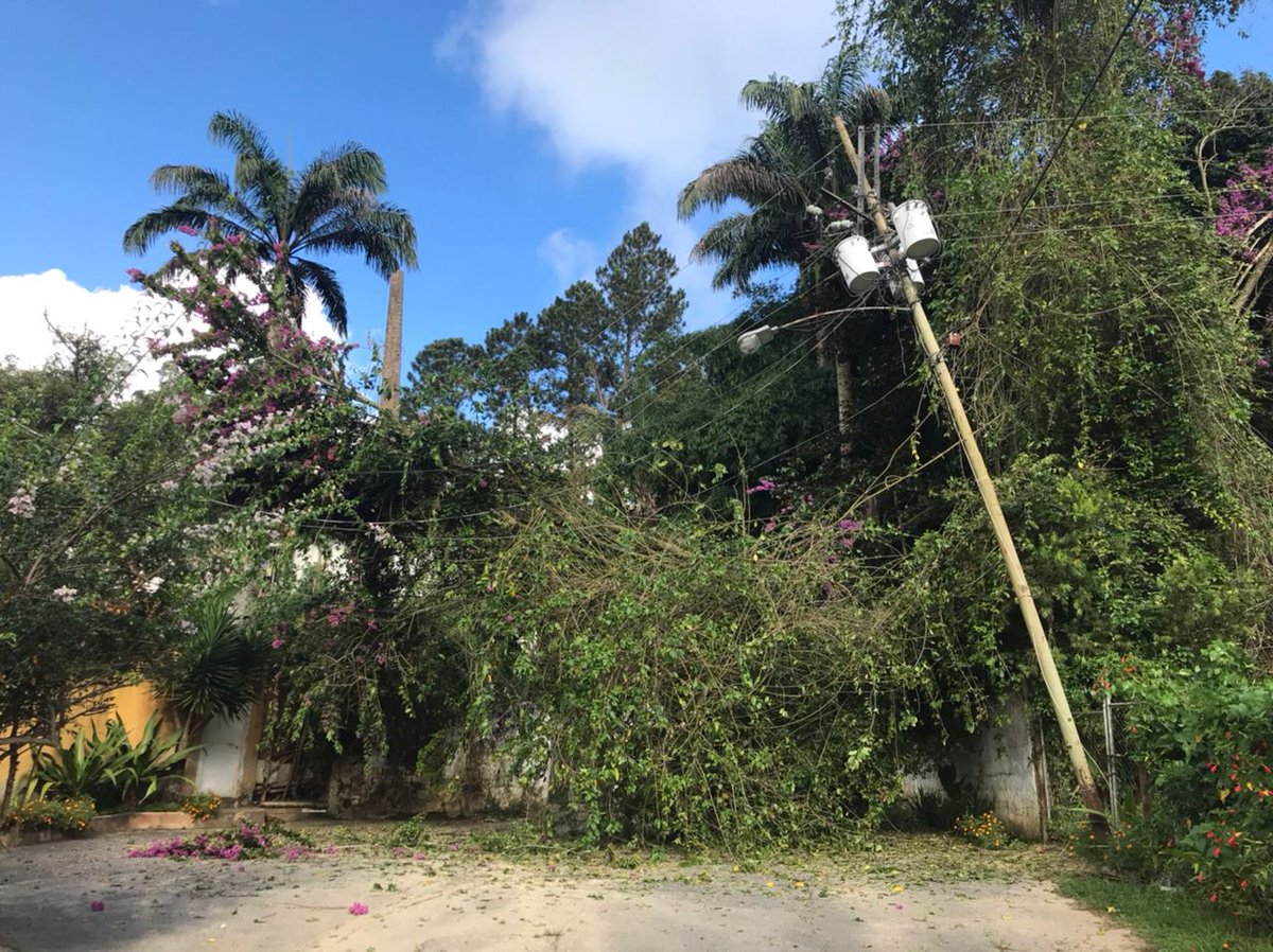autanait's tweet photo. SRS @CorpoelecInfo Se cayó un árbol en la calle E de la Urb #lasmarias @ElHatillo , y cayó sobre los cables de media tensión . Ya hay reporte # 210002359899. Todo el sector sin servicio. Favor atender falla. @eliasayegh https://t.co/qJKXsKkDbz
