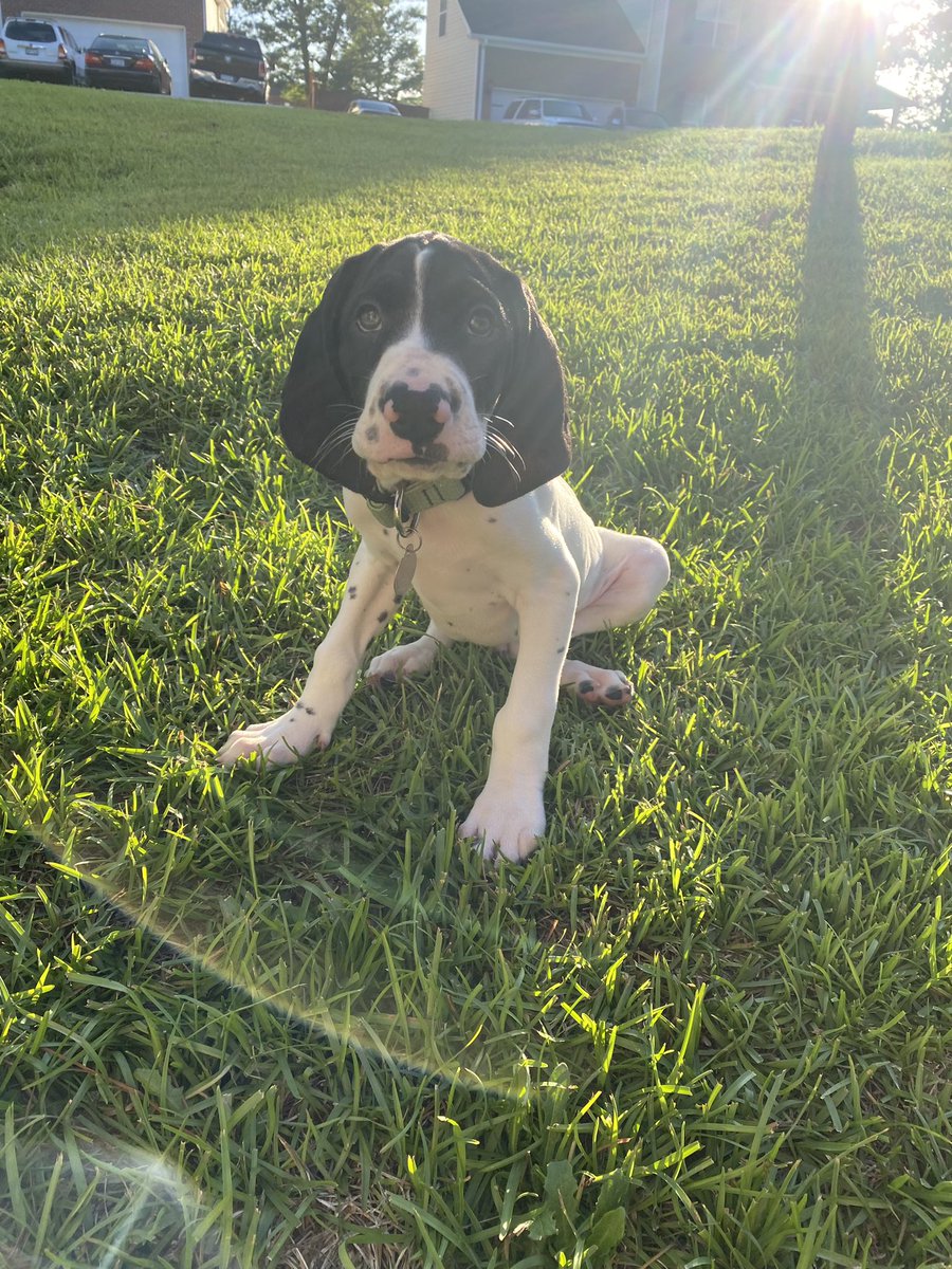 _lmass's tweet photo. This account is now a Hendrix fan account.
2 months and 20lbs bigger 🥲 https://t.co/3sKmfmWEE7