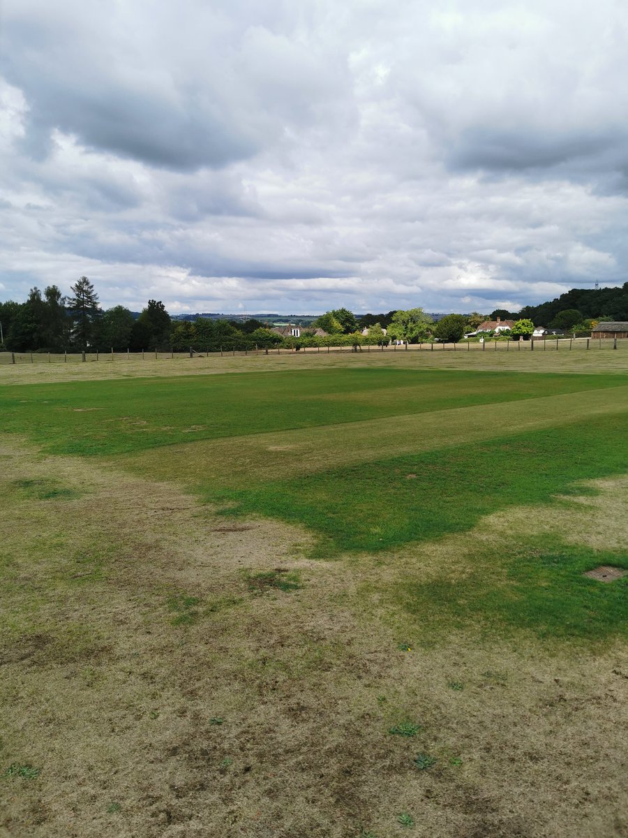 petyug's tweet photo. @sgc_ltd the wicket was dry, slightly damp now and green, see you soon. https://t.co/qG7H5I3LsU