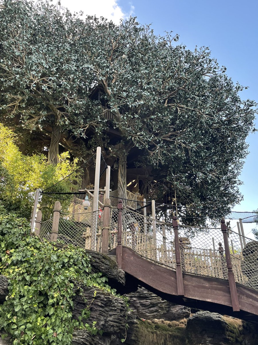 Refurbishment of La Cabane des Robinson. It seems that permanent protective nets are added at the bottom of the tree