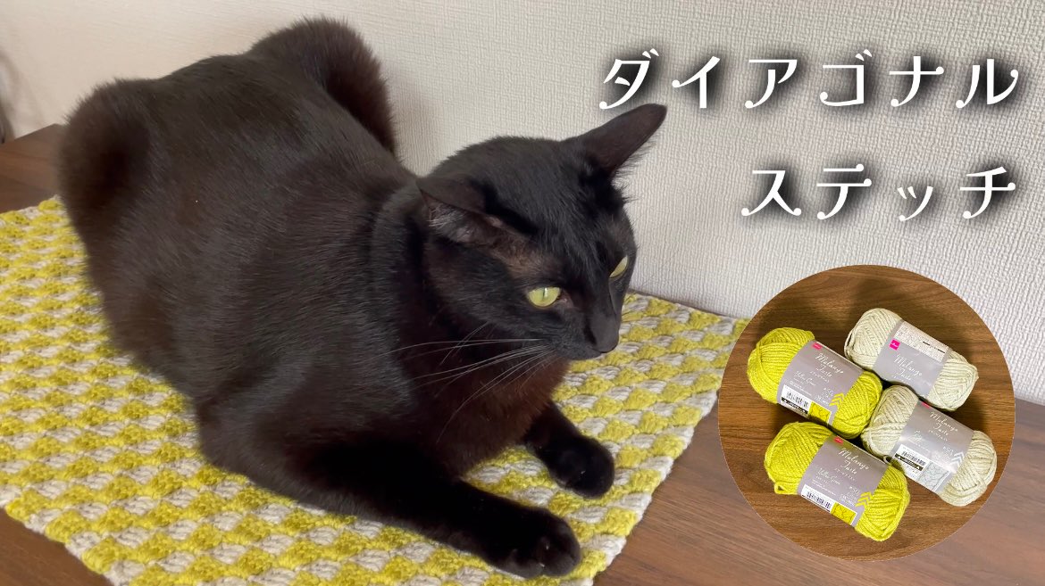 monotone_cats's tweet photo. 【猫マット】ダイアゴナルステッチのマット編みました https://t.co/XCzE6H1cw5 @YouTubeより

ダイアゴナルステッチのマット完成！

#ダイソー #ダイソーメランジテイスト #編み物 #かぎ針編み #ダイアゴナルステッチ #猫用まっと #くろねこ #blackcat https://t.co/5tElgirxXc