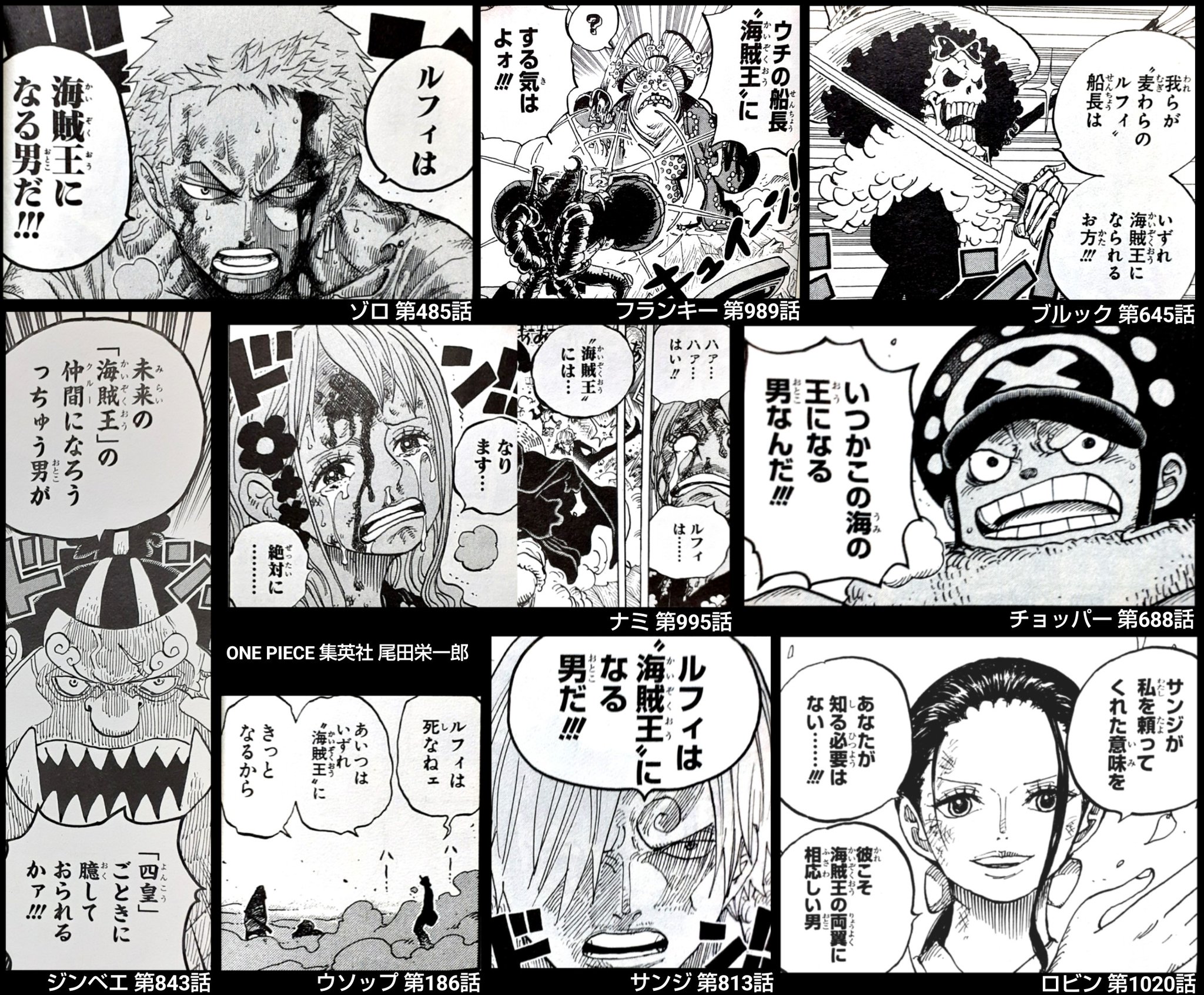 海賊王になる男