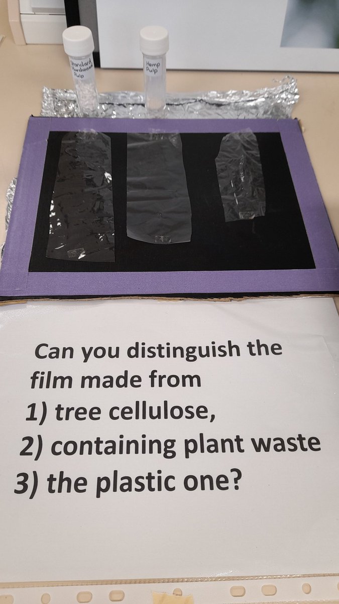 benitez_lab's tweet photo. Thank you to @RichaYeshvekar for the poster and @liamgerman for the plasmodesmata model. And @EmilyNewcombe96 for the films samples https://t.co/Cuo810iw16