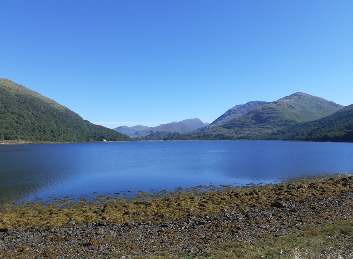 LorneOban's tweet photo. A lovely sunny day for a cycle around Loch Creran. A great opportunity for bramble picking along the way! #dailycycle https://t.co/o1RbdPlEL2
