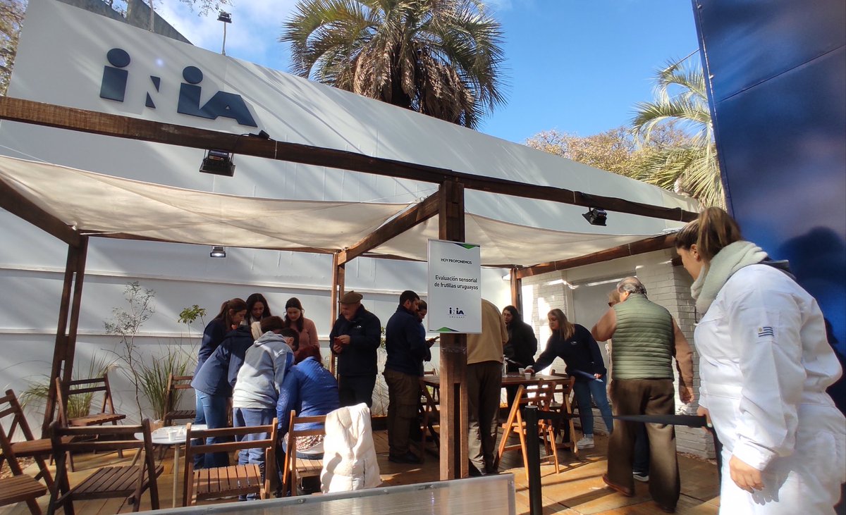 INIA_UY's tweet photo. Comenzó una nueva jornada en @ExpoPrado y hoy en el stand de INIA podés participar de una evaluación sensorial de frutillas uruguayas y conocer qué hay detrás de este alimento 🍓🔍

📍 Frente al galpón de bovinos
⏰ Hasta las 21hs https://t.co/5q7uty1NPW
