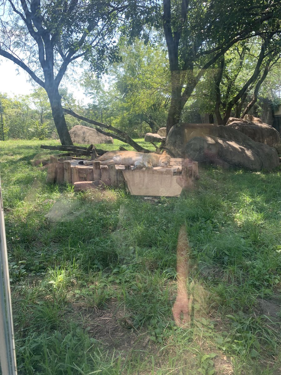 Finally got a chance to visit the <a href="/IndianapolisZoo/">Indianapolis Zoo</a> last Thursday!