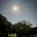 ツイートに含まれる画像