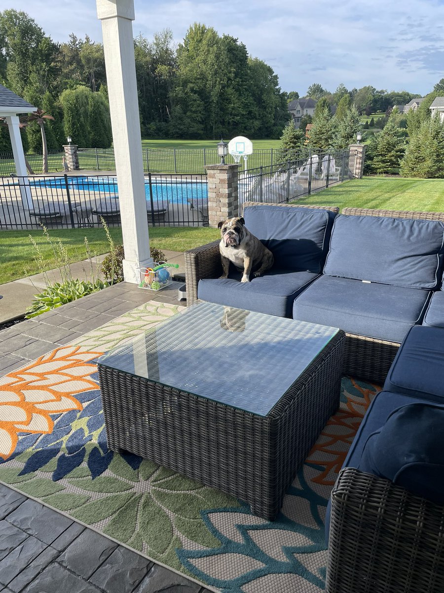 DanielleTiedman's tweet photo. Here’s Miss Penelope!!  😊 https://t.co/6cBTPqp9AS