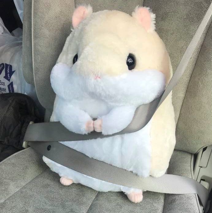 softness daily ✨ tweet media