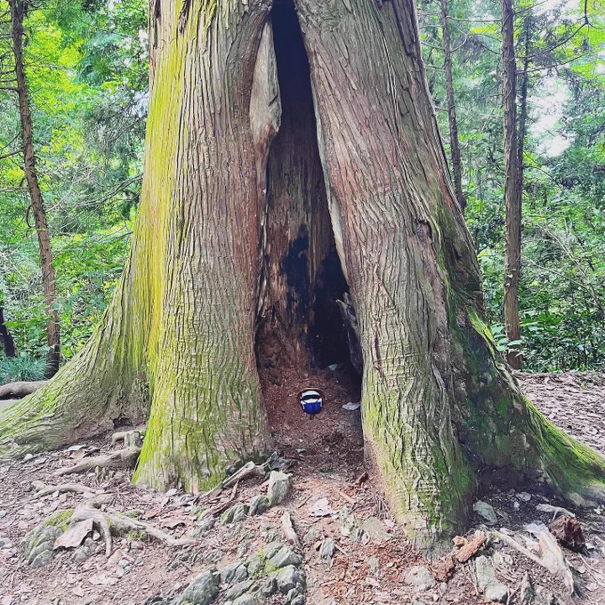 夏の高尾山念願の さんの菅笠と共に… 