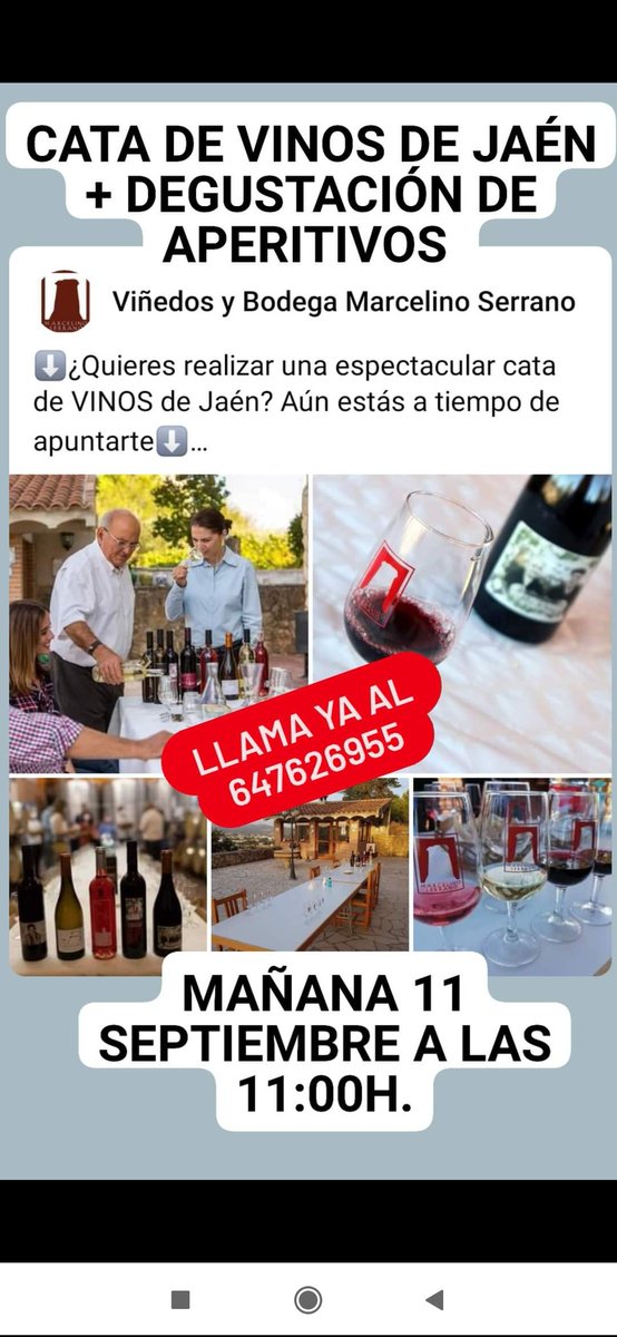 ➡️¿Quieres realizar una cata de vinos de Jaén? Apúntate⬅️
✅MAÑANA DOMINGO 11 SEPTIEMBRE a las 11:00h.✅ se impartirá una cata de cuatro vinos de elaboración propia junto y degustación de aperitivos. 📞Llama ya al 647626955 o envía un correo a info@marcelinoserrano.com🍷