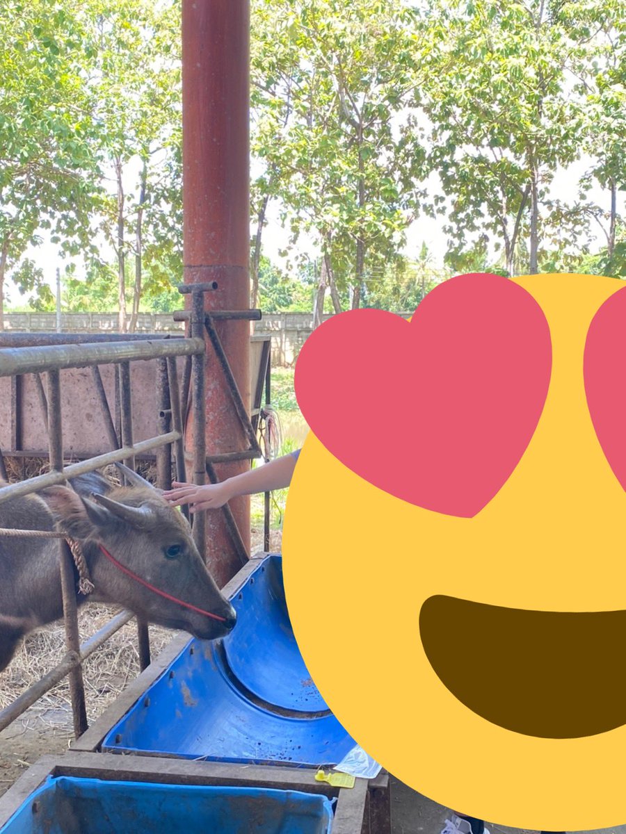 🅣🅖ᗰᕮᗩᗯ シ tweet media