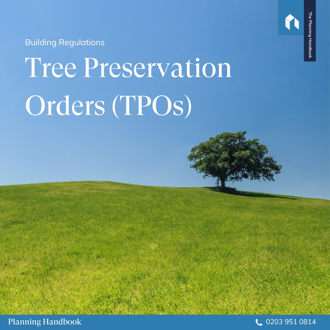 PlanningHBook's tweet image. TPOs are commonly used by councils to protect certain trees within their area of authority found on someone else’s land. 

If they wish to protect a tree, the council can send a TPO to the landowner and explain the reason for making the order.

#planninghandbook #treepreservation