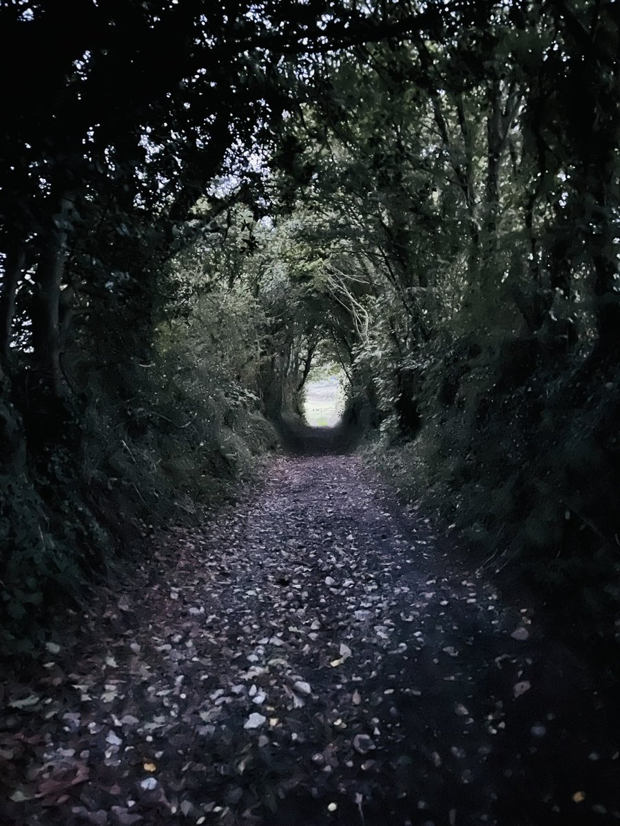 gemancipation's tweet photo. I bloody love this place.

#falmouth #cornwall https://t.co/j6eRBhuRqm