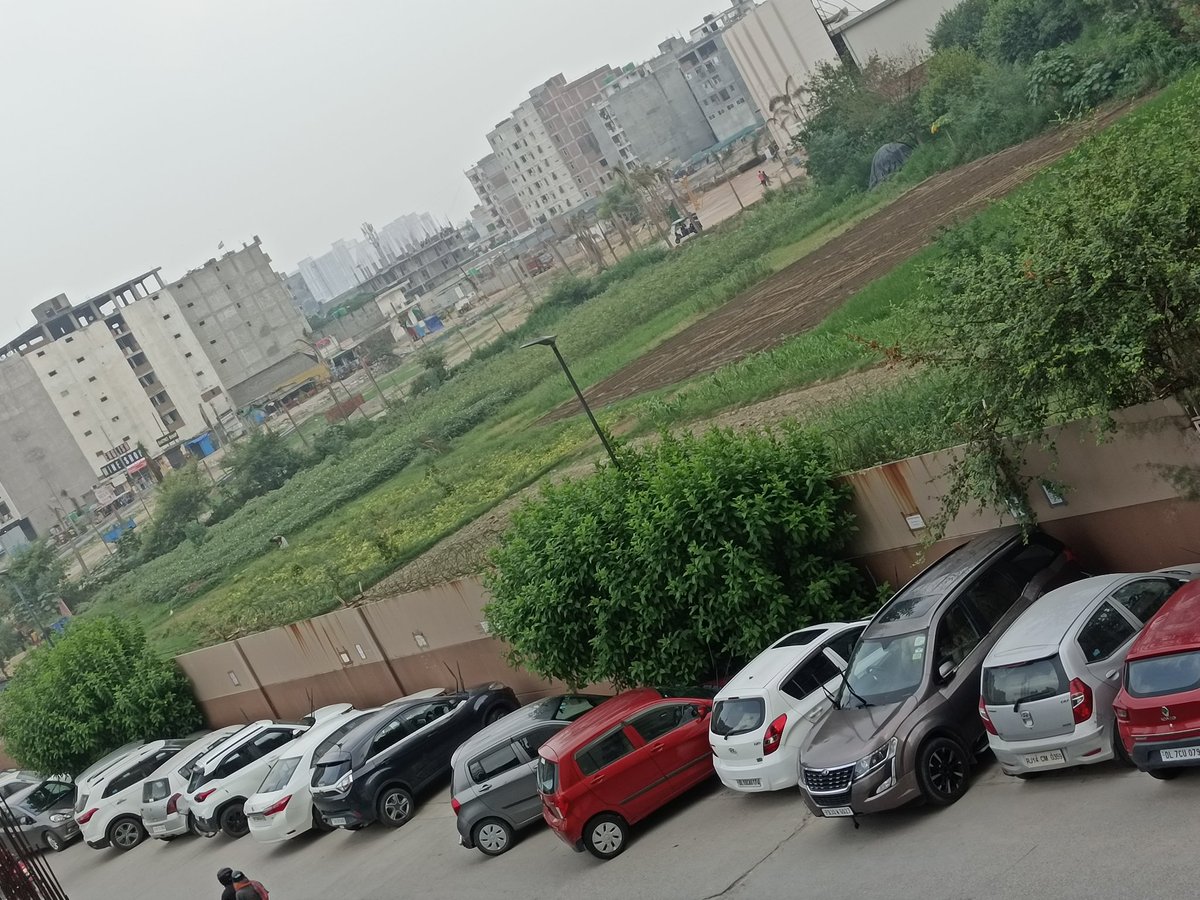 SMILE FOR ALL FOUNDATION tweet media