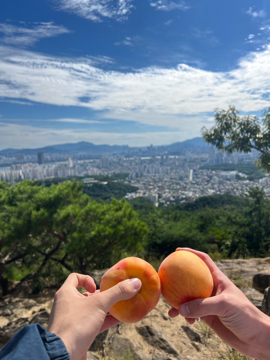 haotonin's tweet photo. 220910 THE8 🌟 

"mountain climbing on chuseok~"
"with dino"
"carats, have a great time!!🥰"

writing on the rock: dream and hope https://t.co/K89UJeXujc
