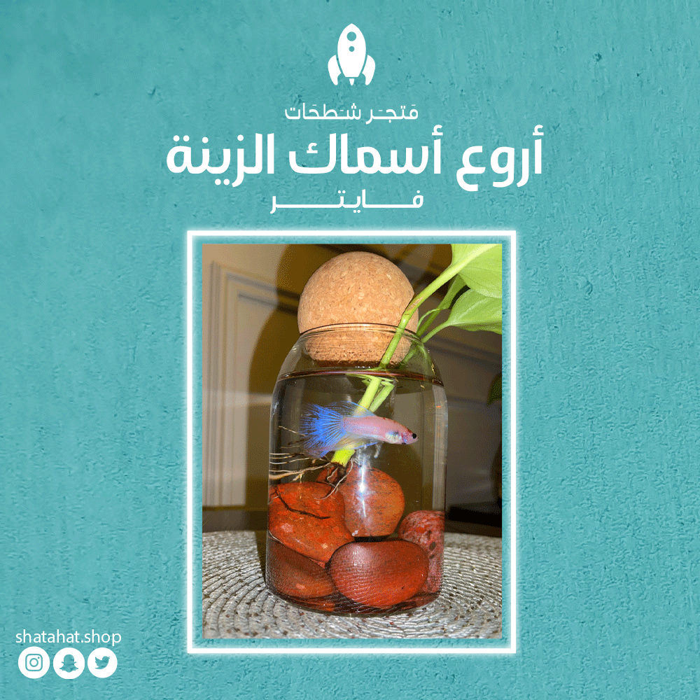 Shtahate's tweet photo. تعتبر جيدة للاقتناء، لأنها منخفضة التكلفة، كما أن مستلزماتها من الطعام والأدوية ومكيفات المياه ذات سعر منخفض أيضًا https://t.co/VZvpr7Ee3K