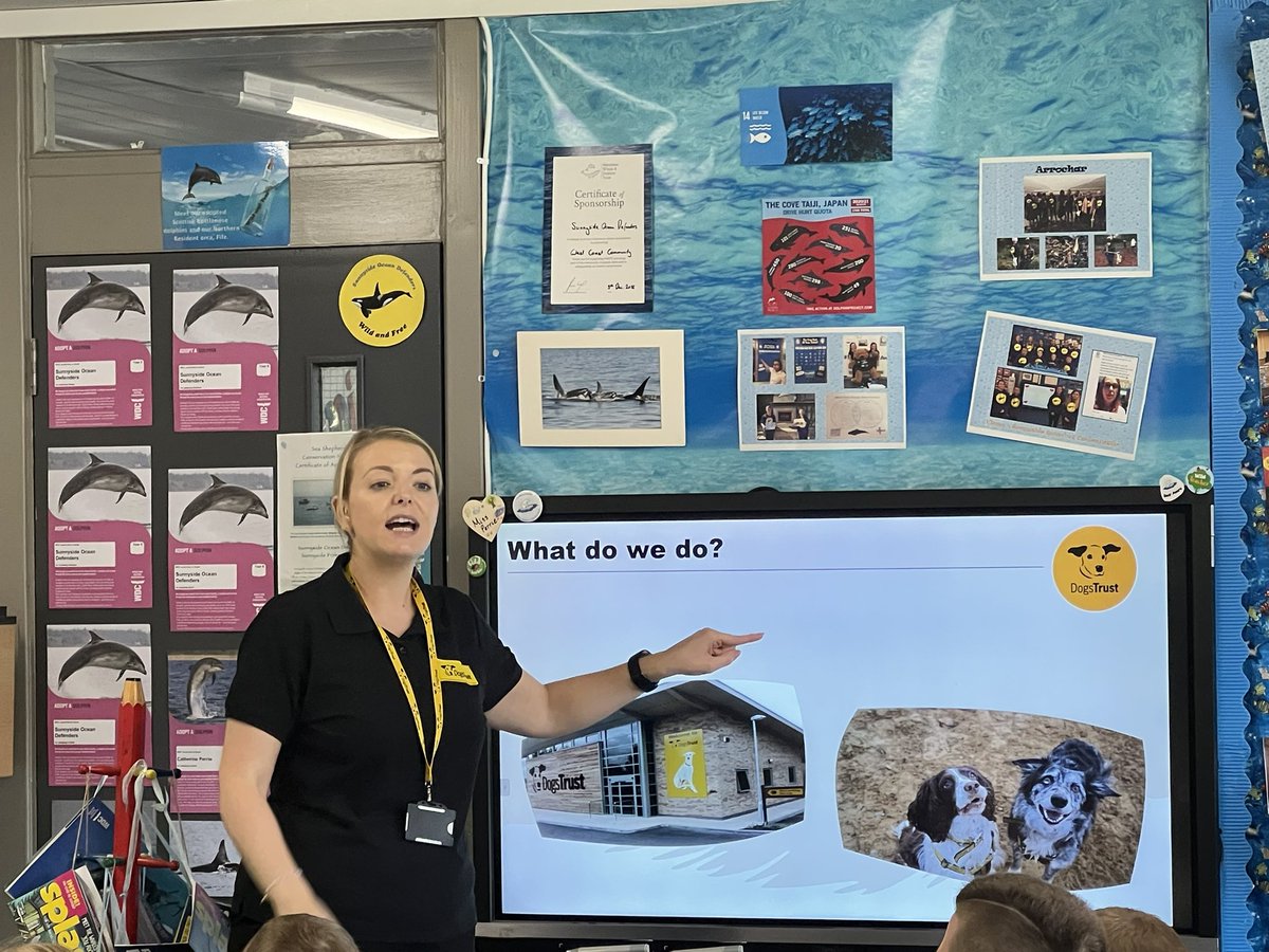 SunnysidePri's tweet photo. 🐶Thank you to Gemma and her canine companion Tess from @DT_Glasgow for coming to Sunnyside yesterday and telling us all about the great work you do at Dogs Trust. We also learned lots about our paw pals senses &amp; how we should behave around them. #BeDogSmart #HappyDogRules 🐾 https://t.co/OX3L39MAVs