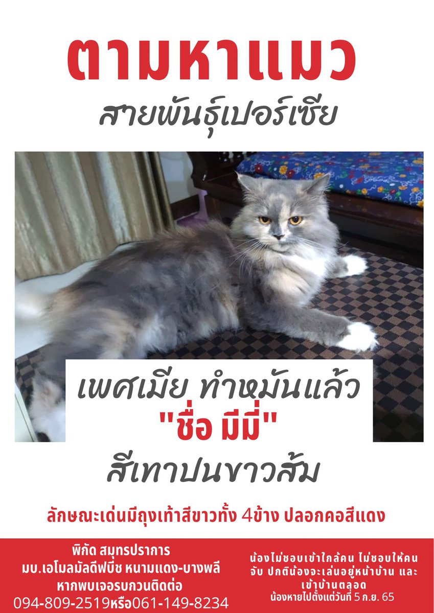 ฝากรีทวิตค่ะ เผื่อใครเจอน้อง 🥺