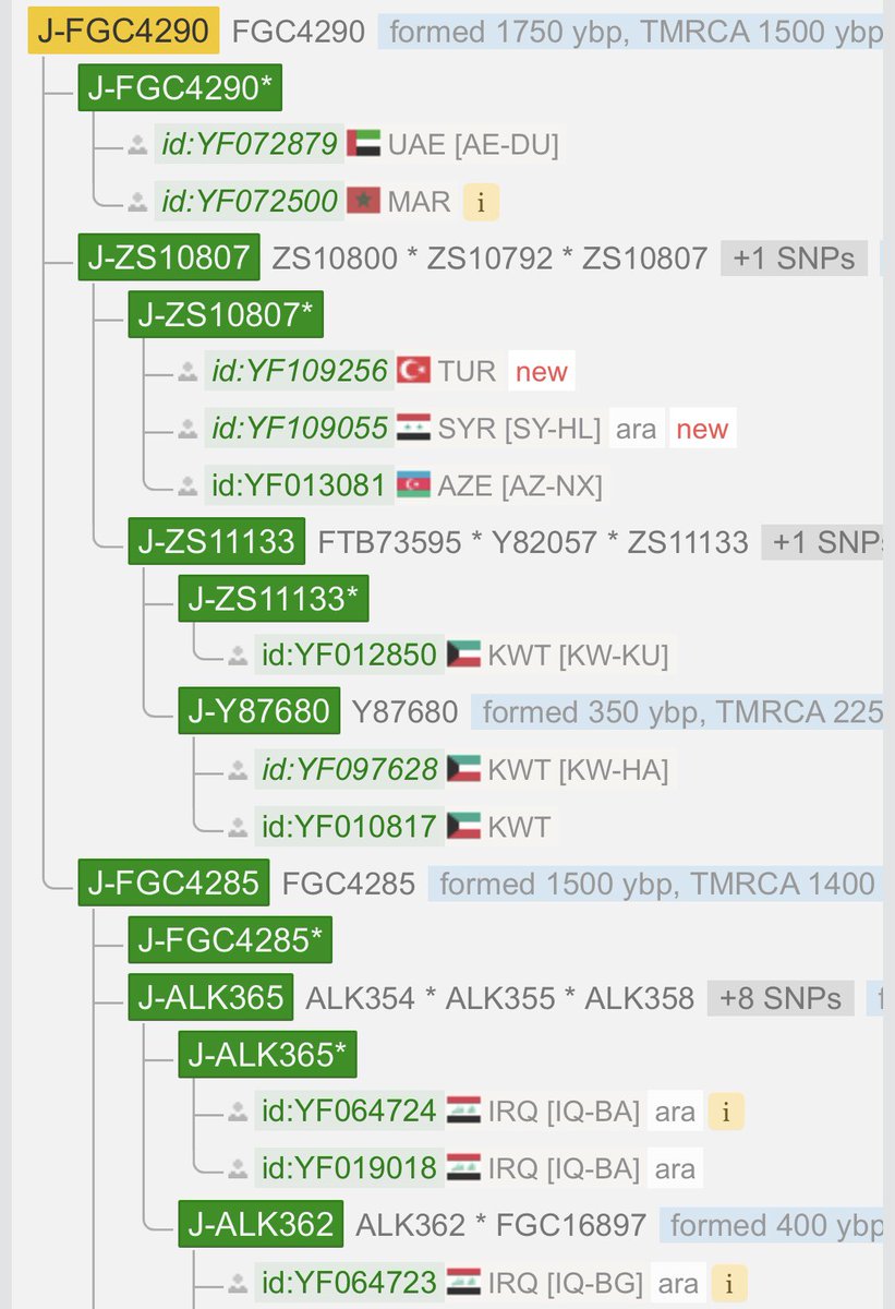 FGC4290's tweet photo. ظهرت نتيجة الفحص الدقيق لعينة القطّان من حلب حيث اجتمعت مع عينة الشواخ الطمّاحي القيسي في التحور FGC21569 الذي يندرج بدوره ضمن فروع التحور ZS10792 https://t.co/RCpX5v9SMQ