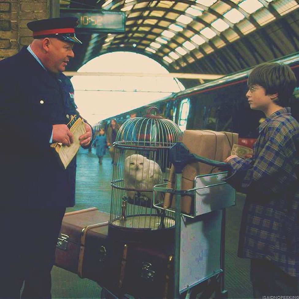 Daily Harry Potter tweet media