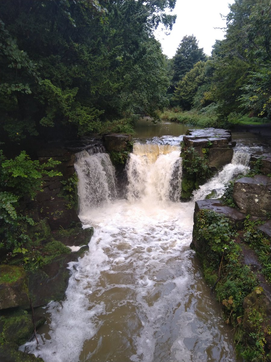 Rare triple #waterfall in #Jesmond Dene with Ouseburn swollen by recent heavy rains <a href="/JesmondDeneOrg/">Jesmond Dene</a> <a href="/Jesmonder/">Jesmond, Newcastle</a> <a href="/VisitJesmond/">Visit Jesmond</a> <a href="/jesmondlocal/">JesmondLocal</a> @urbangreenncl