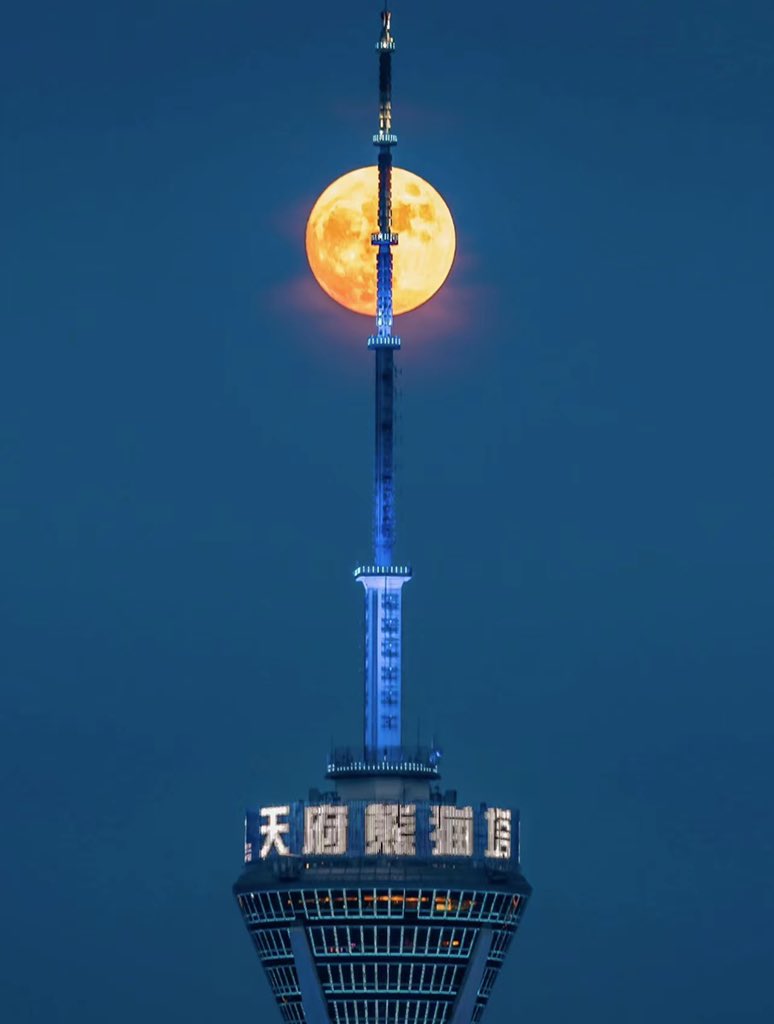 Chengdu_China's tweet photo. 🐼Here is #Chengdu, the moon is shining brightly.
✨My dear friends, don't forget to look up at the moon in the sky and tell me how beautiful it is in your area.

Discover @ChinaChongzuo 

#BeautifulChina #FullMoon #Pandacity #Cityview #night #lune #gochengdu #sky 
📸：Ptbye https://t.co/MEj9oeEkbb
