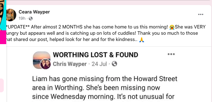 nataliehoad's tweet photo. @jowhiley From a local cat lost/found group https://t.co/0bxmoM0eGz