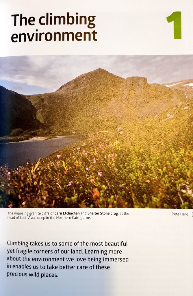 BrightAire tweet media