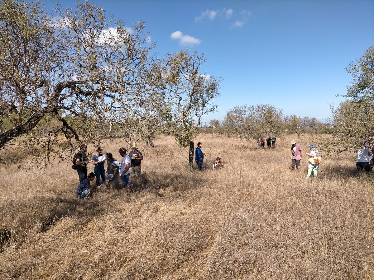 Gonzalo_Palomo's tweet photo. Curso de #planificacionpastoreo #manejoholistico #ganaderiaecologica @ganaderiaextensiva en #Ibiza de @SEAE_Agroecolog & #APAEEF con @PASTOreIberia @CooperACTYVA @BBBFarming @alejabMH https://t.co/mXGxfRvrSE