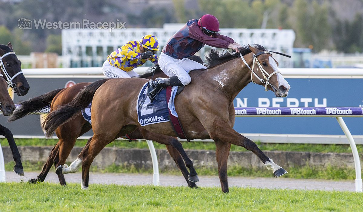 Western Racepix tweet media