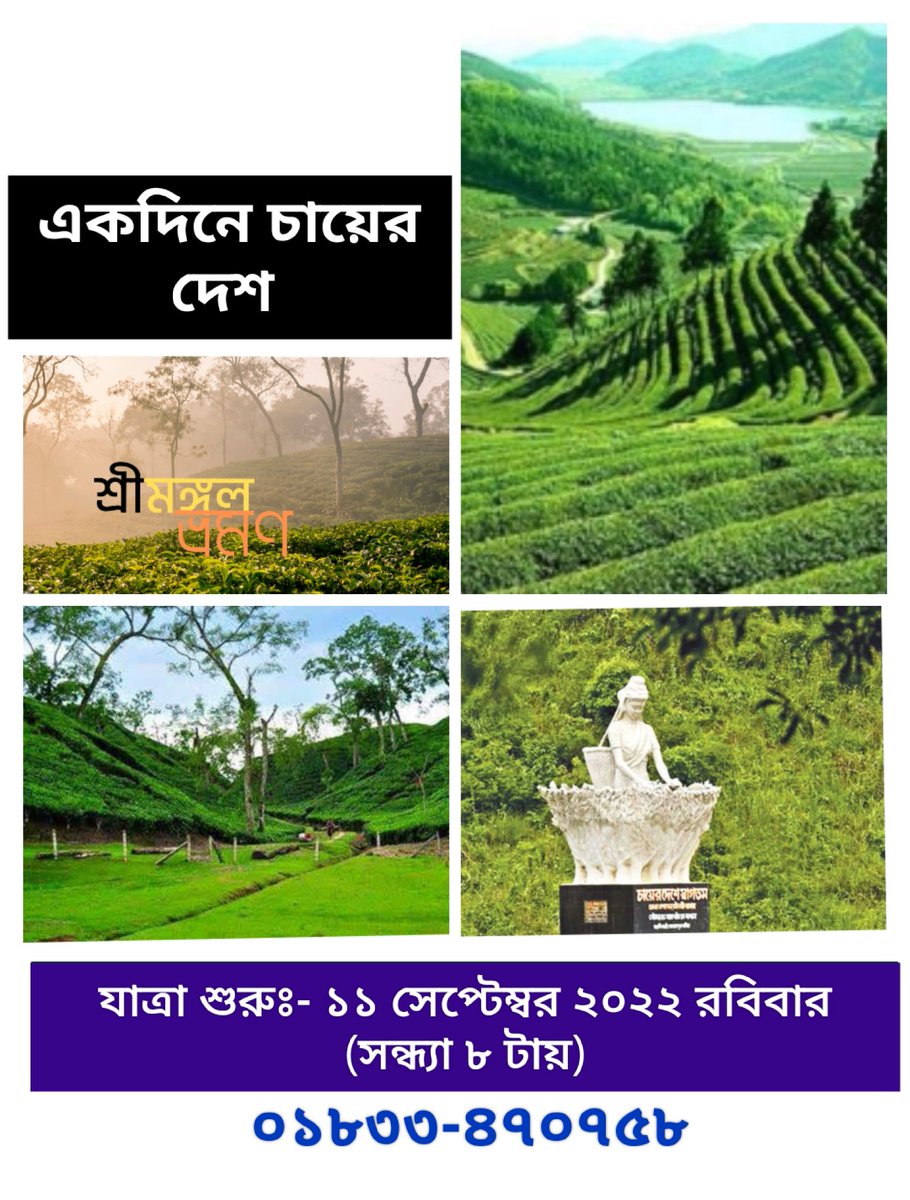 ImranJashim's tweet photo. চায়ের রাজ্য শ্রীমঙ্গল যাচ্ছি ডে ট্যুরে

যাত্রা শুরুঃ- ১১ সেপ্টেম্বর ২০২২ সন্ধ্যা ৮ টা থেকে 

আগ্রহীরা ��নবক্স📢 লারা দেন https://t.co/frP60EROso