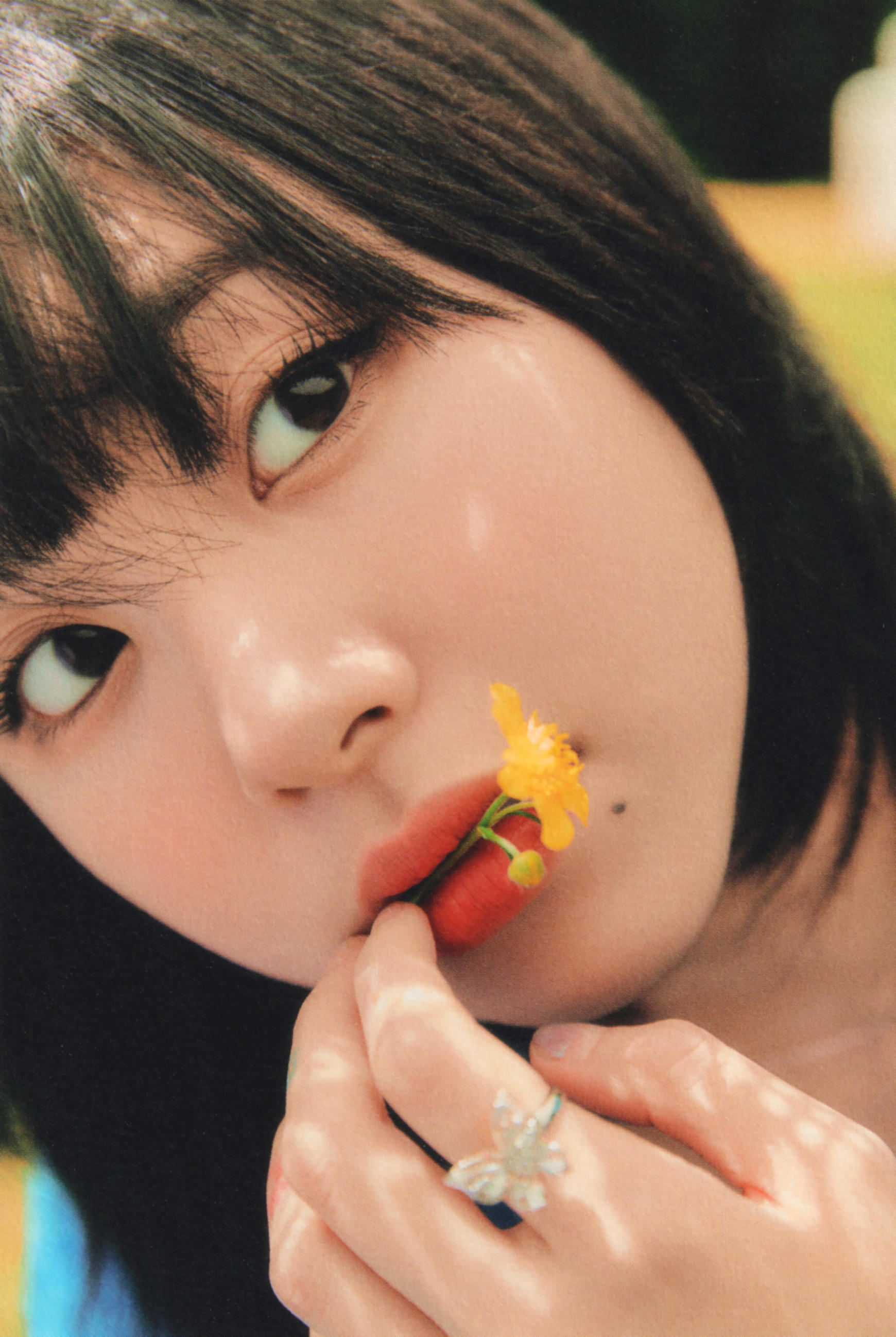 ドッグフード CHAEYOUNG ドッグフード ペットライン いぬのしあわせ プッチーヌ