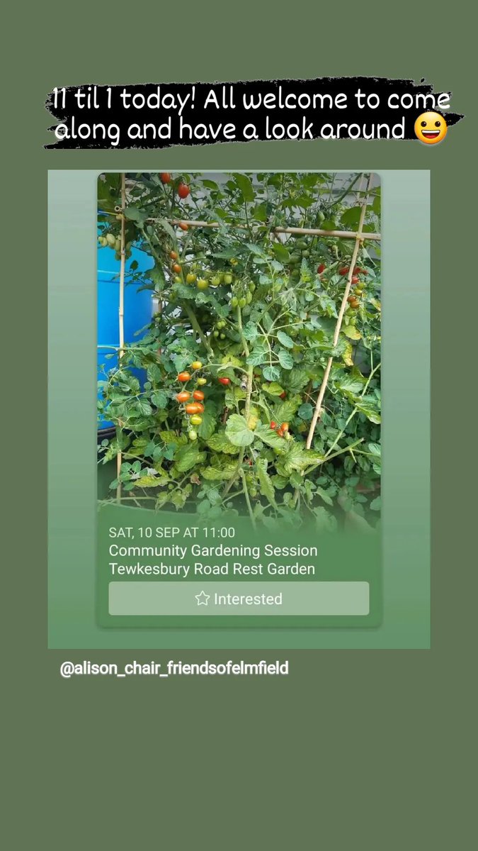 Alison, Friends of Elmfield tweet media