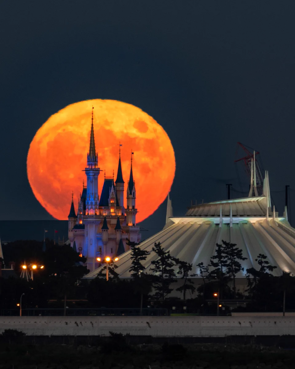 まるでおとぎ話の世界！中秋の名月とシンデレラ城のコラボ！