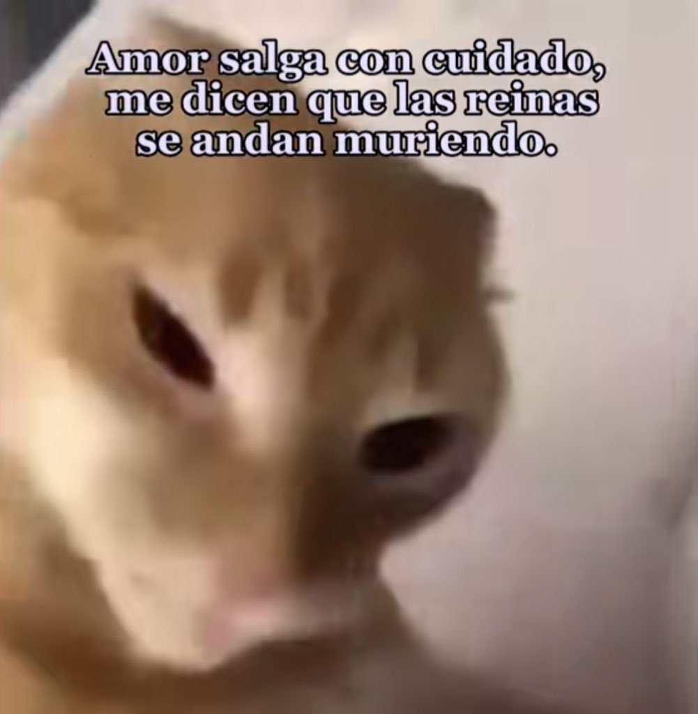 𝕷𝖔𝖛𝖎𝖓𝖌 𝕸𝖊𝖒𝖊𝖘 🥕 (@memes4love1) on Twitter photo 