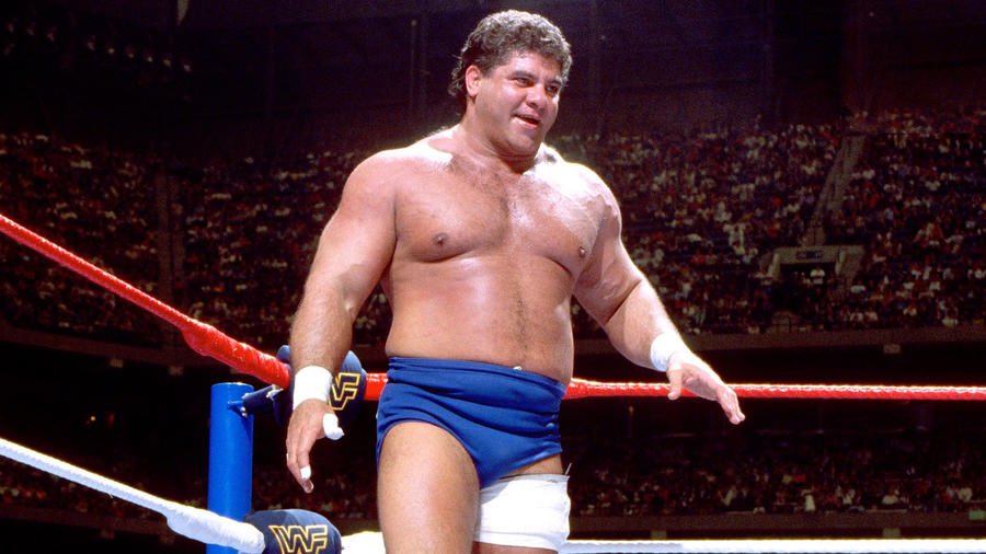 Happy Birthday Don Muraco who is 73 today!  