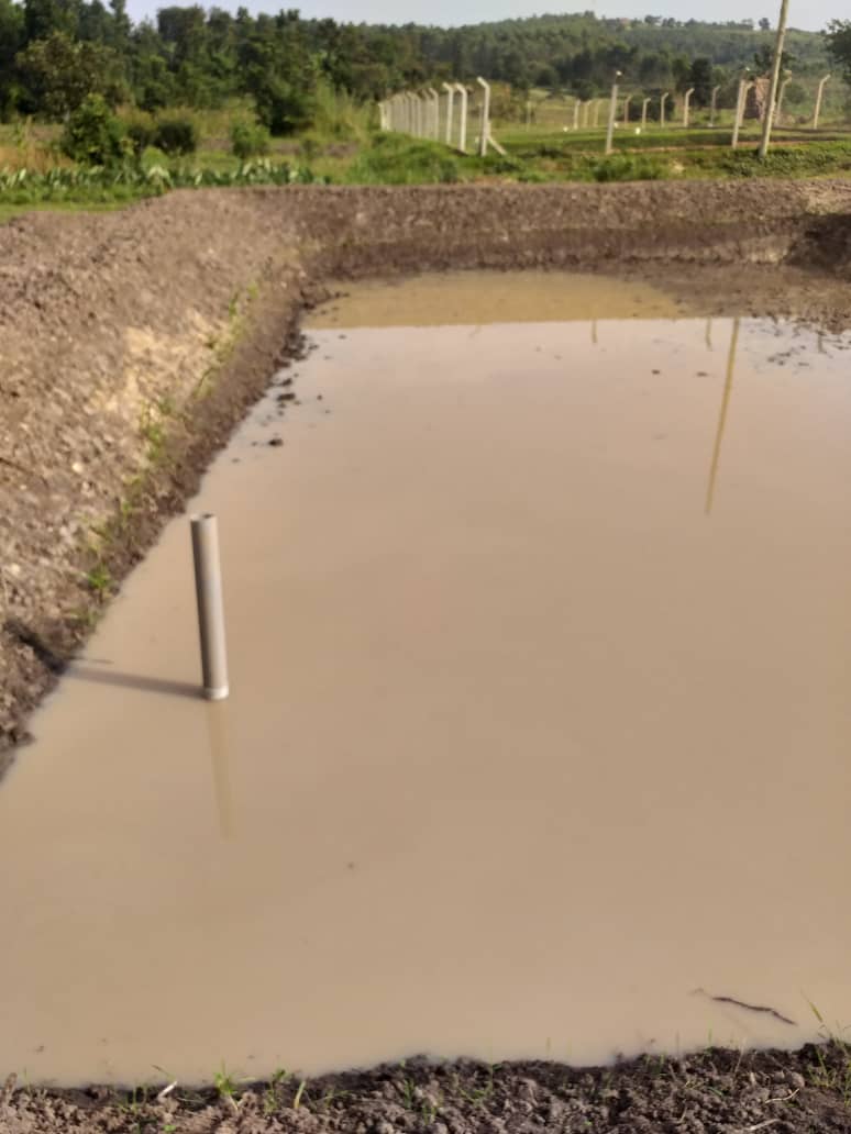 PRACAquatics's tweet photo. In Prac Aquatics limited we say growing fish is liking printing your own money.
For consultancy and rearing system constructionAndroid (Pond or cage,etc) services and all Aquaculture inputs
Call +256700339000 or
WhatsApp +256701972215
 @FishfarmingUg @CrispusB https://t.co/eOA3YVJLgK