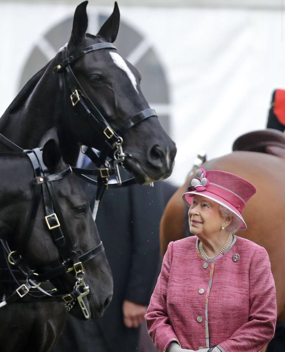 Rountree Tryon tweet media