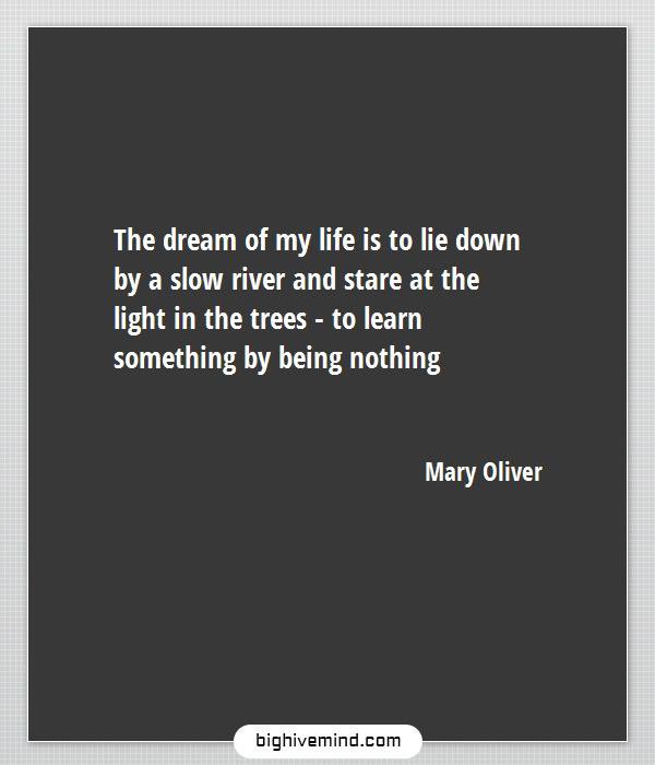 ClareEShaw's tweet photo. Would have been Mary Oliverโs birthday. What more reason to read her poetry today instead of cleaning the bathroom as Iโd planned #reading #poetry #notcleaning https://t.co/91cLiTn61S