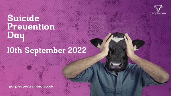 PurpleCowTrain's tweet photo. You're not alone 

Help is available

Samaritans Helpline Number 116-123

Emergency number 999

The more people are willing to talk about suicidal thoughts, the more likely they are to take positive steps towards healing.

https://t.co/VTGnac5Alg https://t.co/eWiJejWPhm