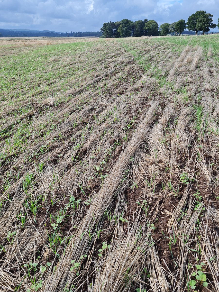 Arable Ventures Ltd tweet media