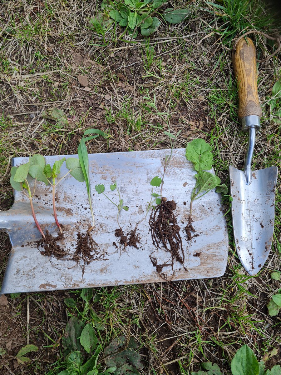 Arable Ventures Ltd tweet media