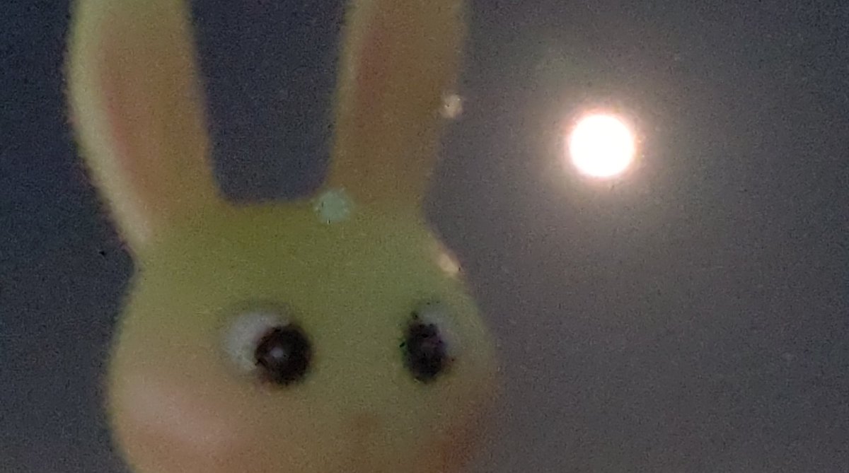 poron_armadillo's tweet photo. 一年で一番美しいお月さまの中秋の名月が満月なんてどれくらいぶりなのかな⁉
お月さまの向う側rabbit fieldの今宵、うさぎたちは喜び歌い舞い踊る。
今年も逢えたキレイに幸せと感謝を✨
#十五夜
#中秋の名月
#満月
#ラビフィー
#rabbitfield https://t.co/MGpoOPgpdY