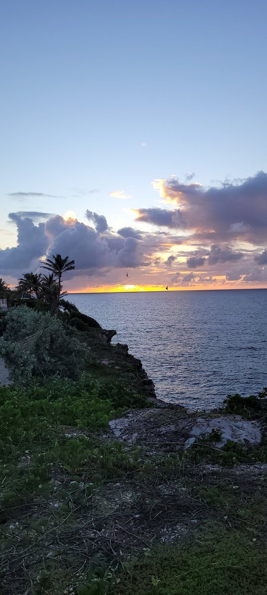 Nicberry246's tweet photo. My Patio view...Good Morning!! 😍Have a productive day! #sunrise #Barbados https://t.co/Y5w4mnELD7