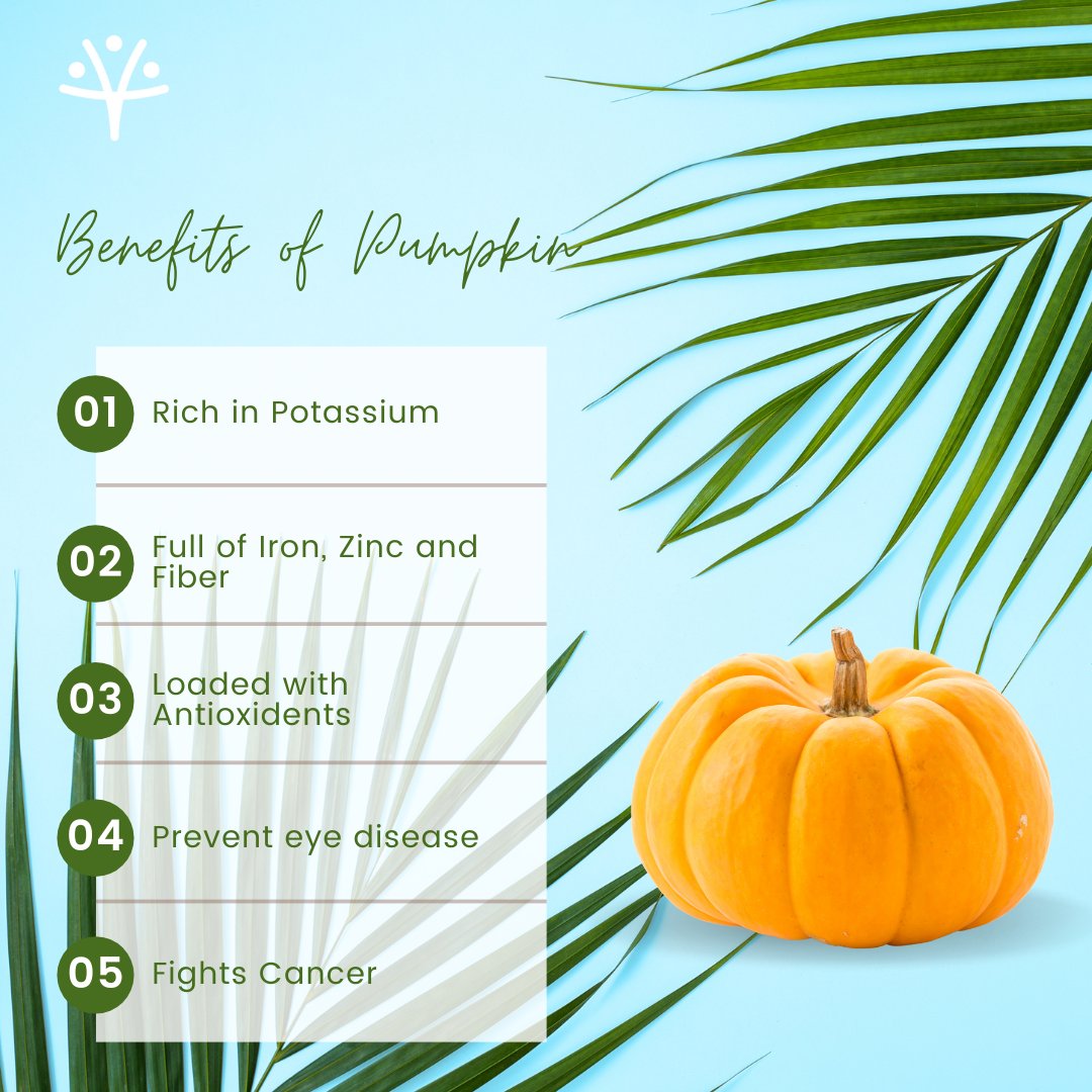 SocietyPms's tweet photo. One cup of pumpkin contains 87% of the daily recommended vitamin A intake.
#pumpkin #cholesterolfree #fatfree #sodiumfree #goodsourceoffiber #pumpkinseason #pumpkinseeds #pumkinbenefits #pms #prosperitybeginshere #prosperitymultistatehousingcooperativesociety #society #multistate https://t.co/3hviuFzHfU